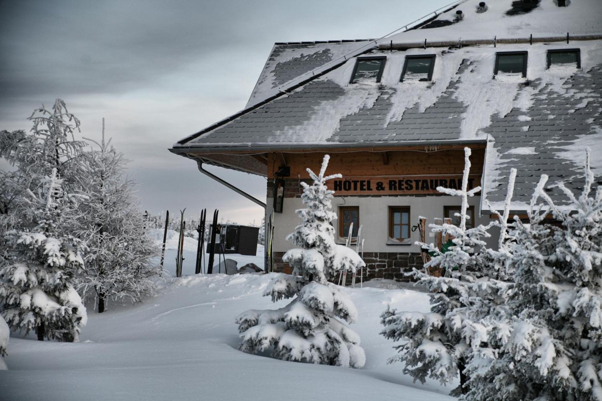 Hotel Krusnohorsky Dvur Cinovec Exterior photo